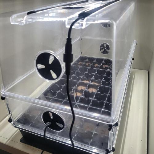 Paloma Night. Week 0