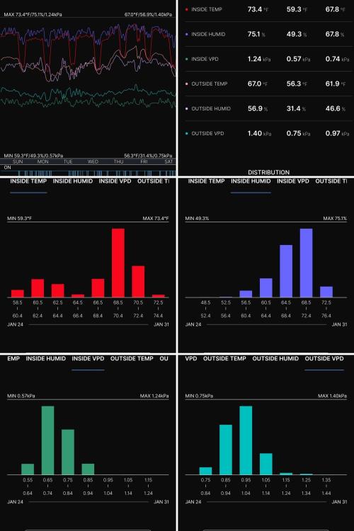 Paloma Night. Week 3