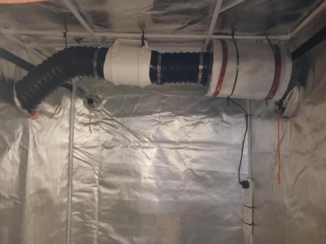 MrRaid: Gelato Auto (SoG). Week 0 - filter & fan all setup