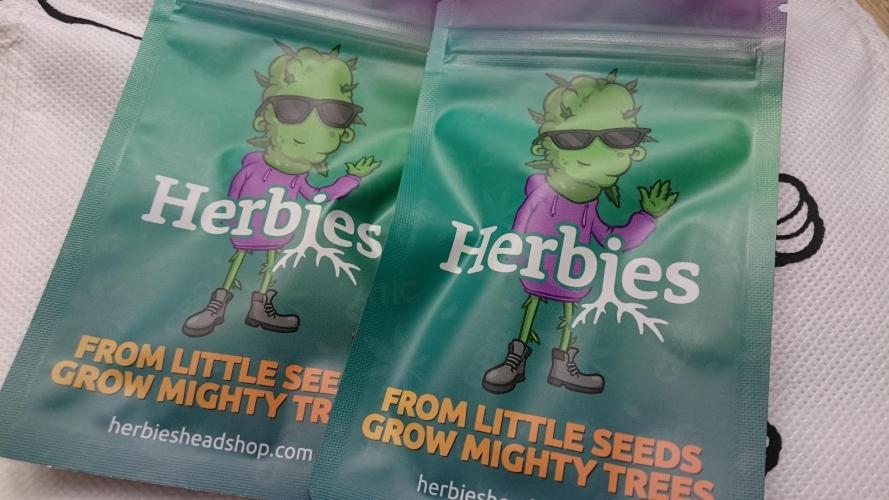 Lady Muireann. Week 0 - 0