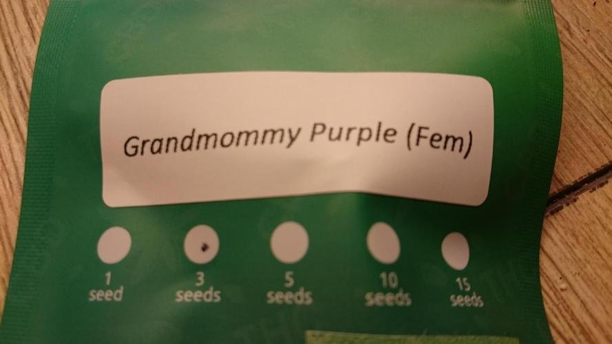 Lady Muireann. Week 0 - 0