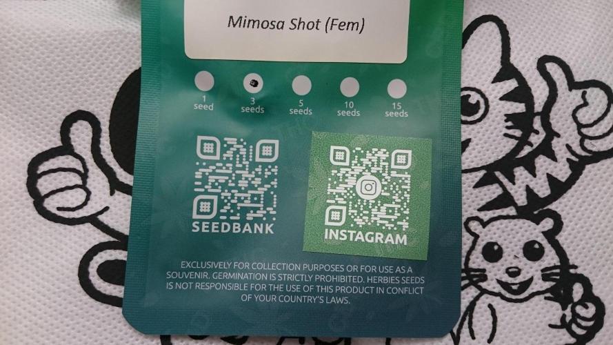 Lady Parysatis. Week 0 - 0