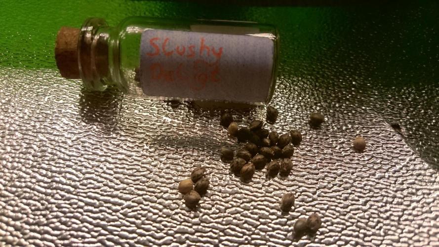 TryOutAndSee. Week 0