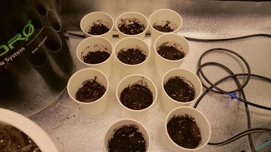 TryOutAndSee. Week 0 - 3