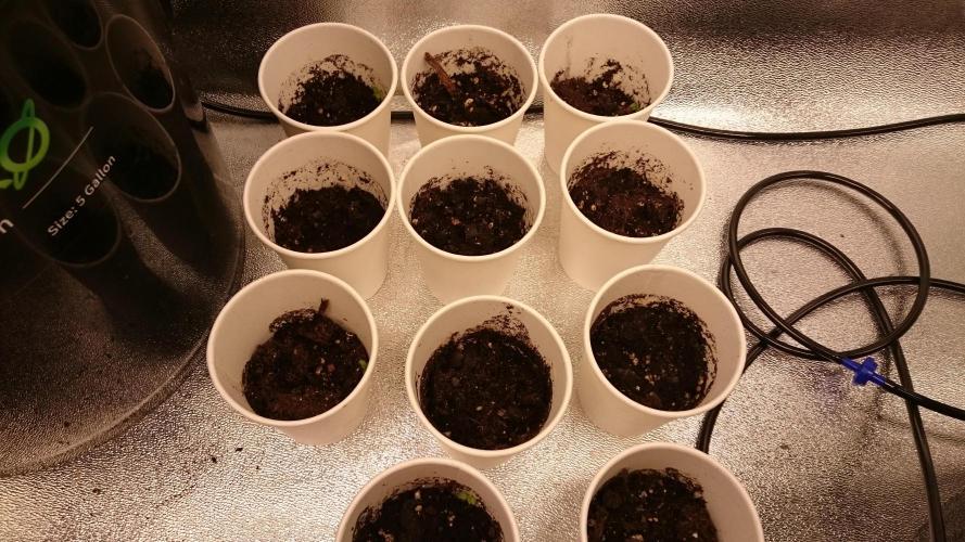 TryOutAndSee. Week 0 - 4