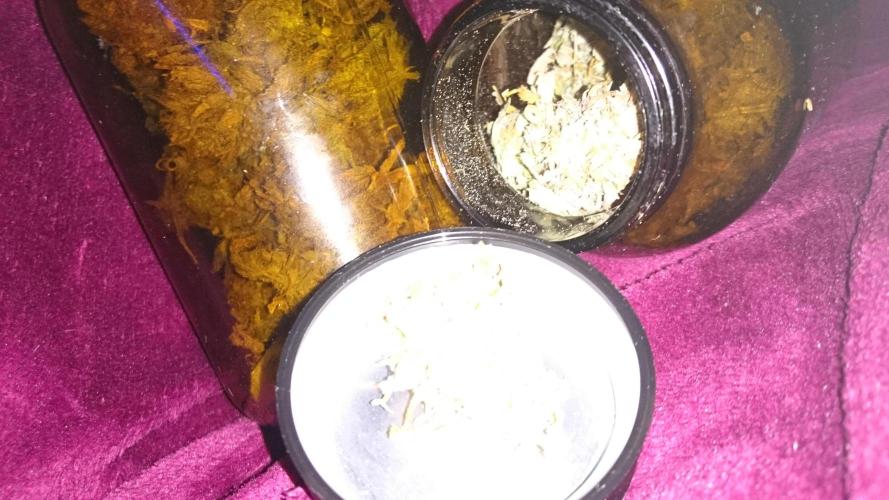 Lady Fatemah. Week 9