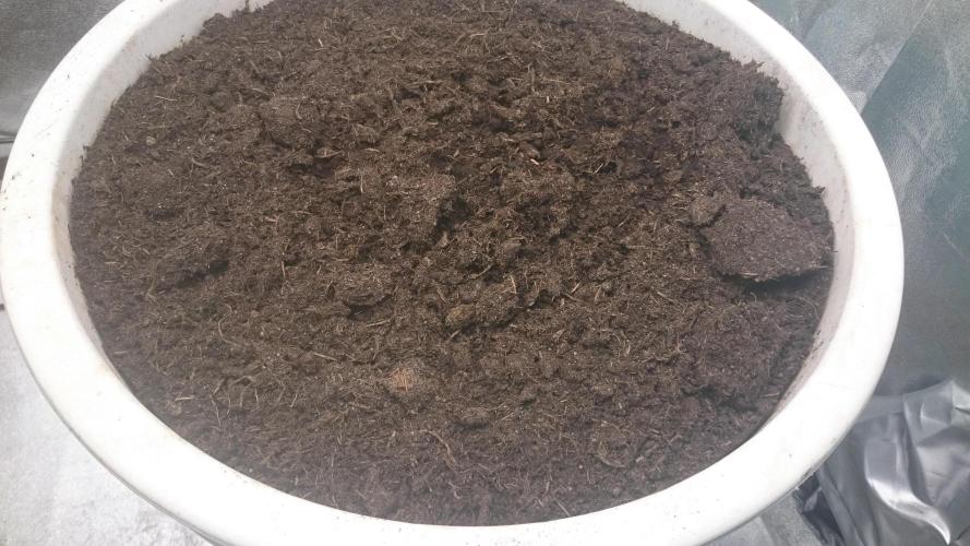 Tropical Swirl. Week 0
