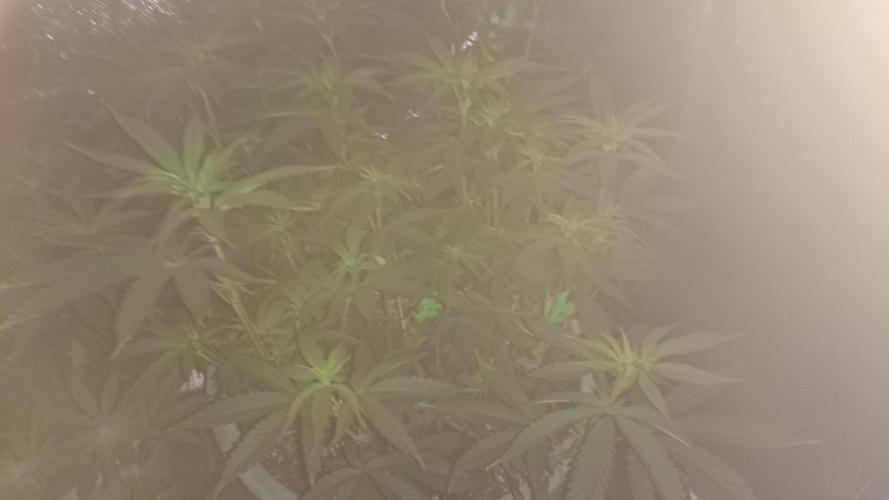 Lady Magyklenia. Week 6 - 65