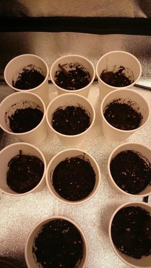 TryOutAndSee. Week 0 - 1