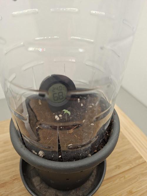 RQS Milky Way F1. Week 0 - Tag 1 