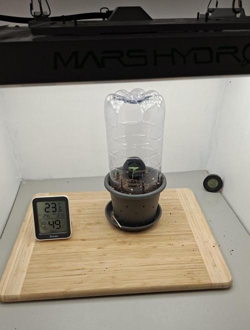 RQS Milky Way F1. Week 0 - Tag2