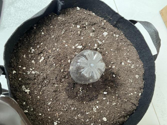 My baby. Week 0 - It’s not just planting, it’s learning to endure