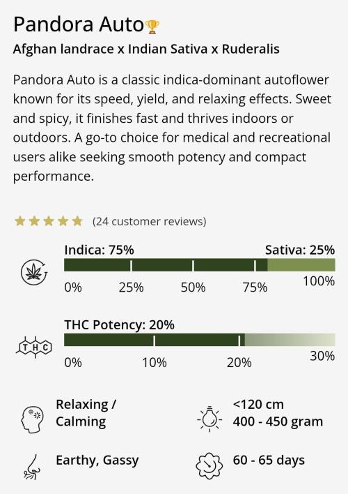 Pandora Auto - Paradise Seeds. Week 0