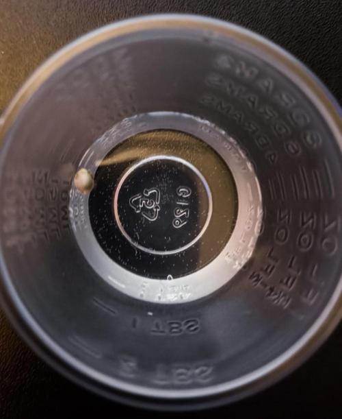 Slamberry - Speedrun Seeds. Week 0