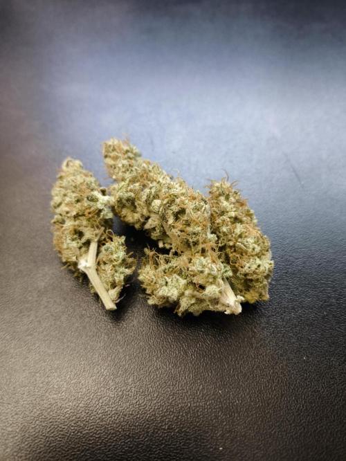 Auto Big Demon - Divine Seeds Contest. Week 11