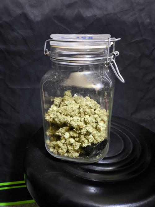 Auto Big Demon - Divine Seeds Contest. Week 11