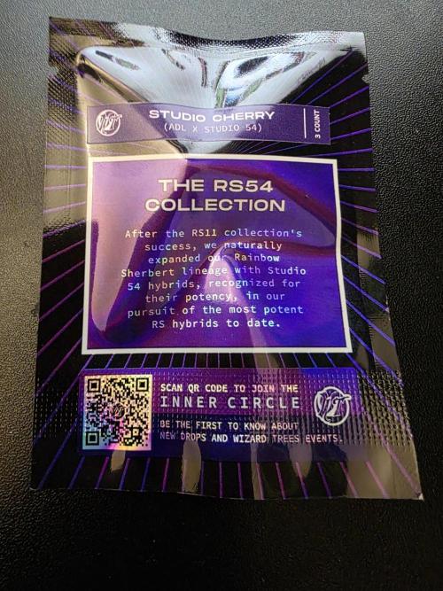 Wizard Trees - Studio Cherry. Week 0