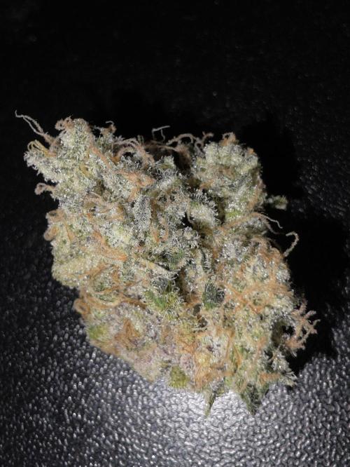 Double Stuffed Sorbet. Week 16