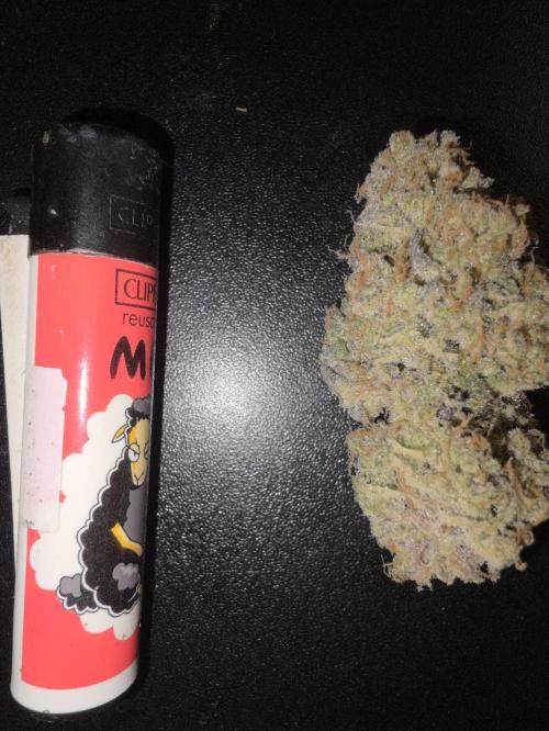 Double Stuffed Sorbet. Week 16