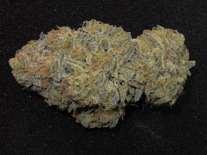 Double Stuffed Sorbet. Week 16