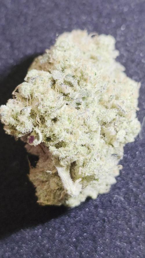 Double Stuffed Sorbet