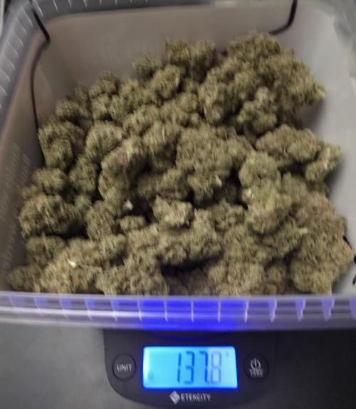 Double Stuffed Sorbet. Week 16 - Great Yield