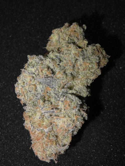 Double Stuffed Sorbet. Week 16