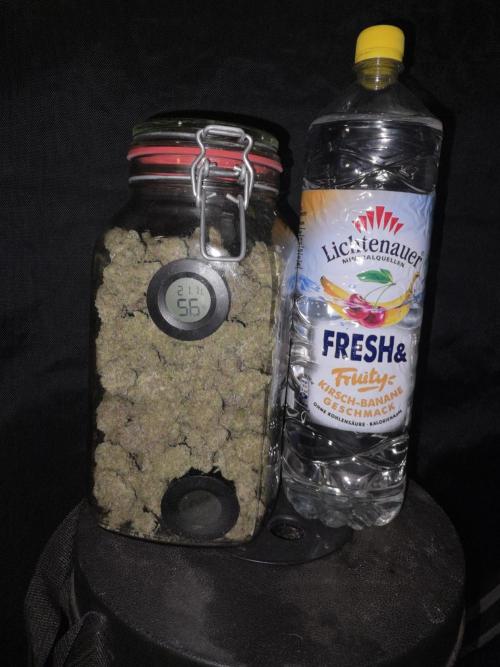 Double Stuffed Sorbet. Week 16