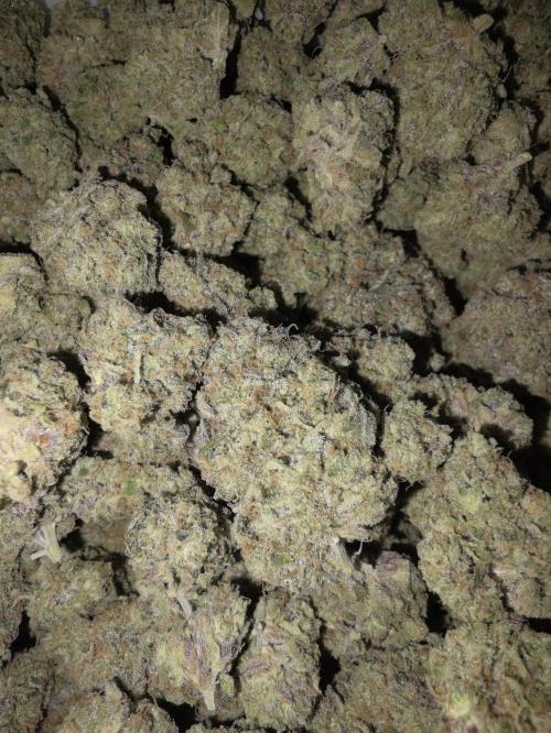 Double Stuffed Sorbet. Week 16