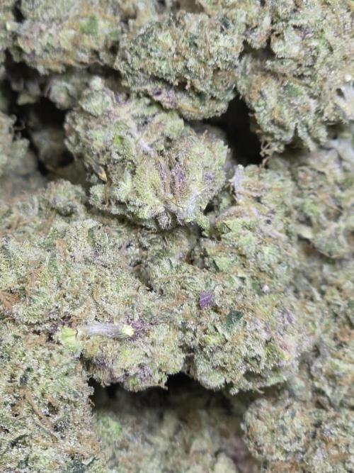 Double Stuffed Sorbet. Week 16