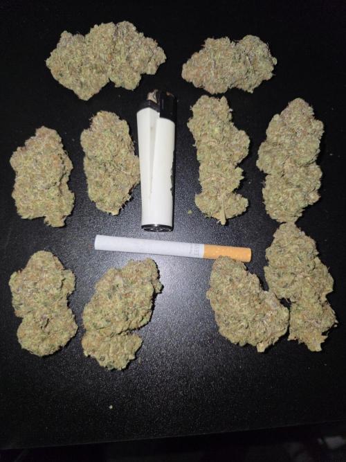 Double Stuffed Sorbet. Week 16