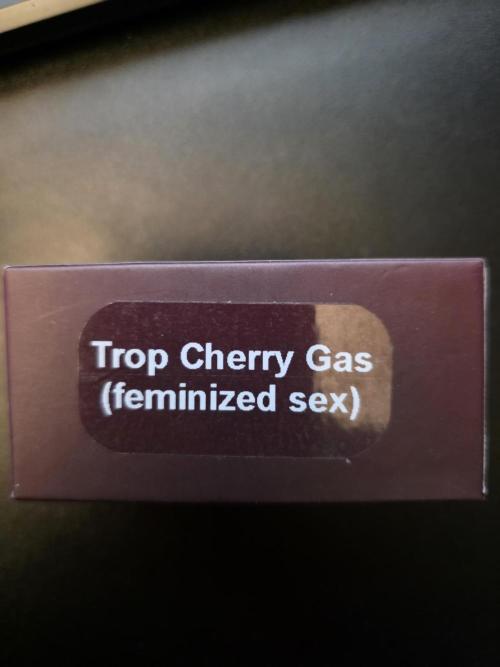 Trop Cherry Gas  - Relentlless. Week 0