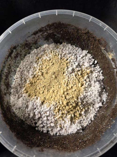 Trop Cherry Gas  - Relentlless. Week 0