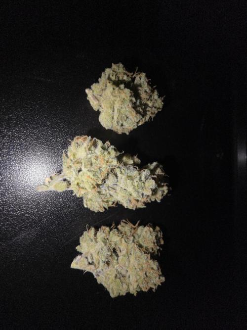 Slamberry - Speedrun Seeds. Week 12