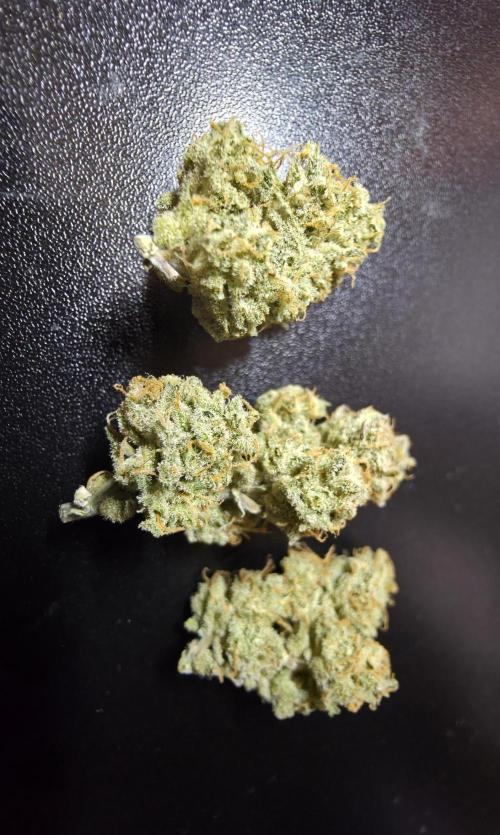 Slamberry - Speedrun Seeds. Week 12