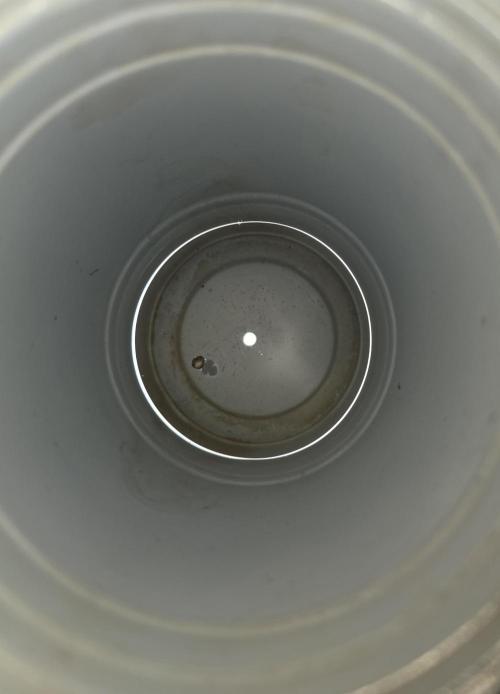 The Special (Gassy) One - F027- Contest. Week 0 - Watering