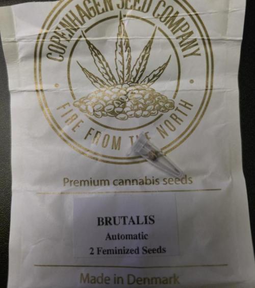2nd Try Outdoor - Brutalis Auto. Week 0