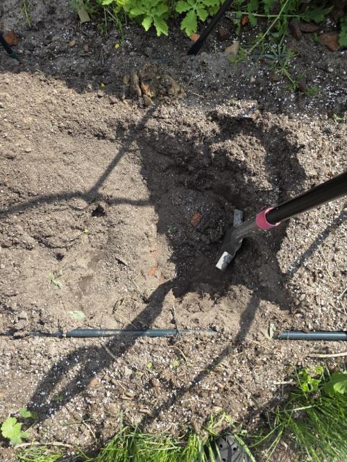 2nd Try Outdoor - Brutalis Auto. Week 1 - Preparations