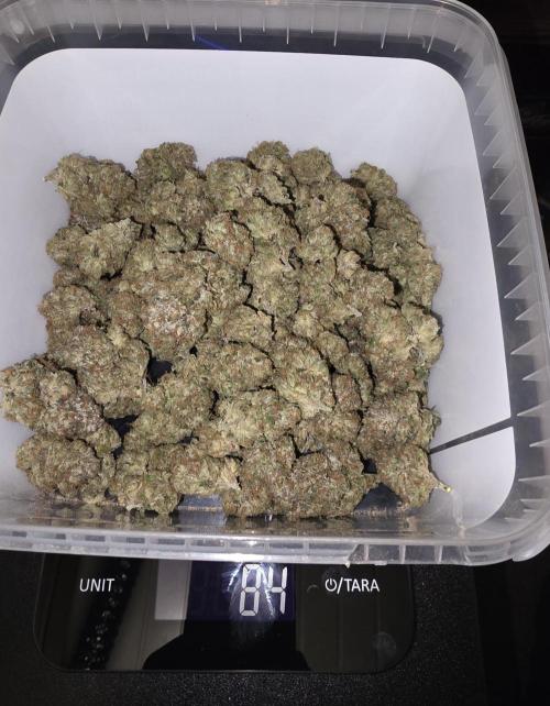 Studio Cherry - Wizard Trees. Week 15