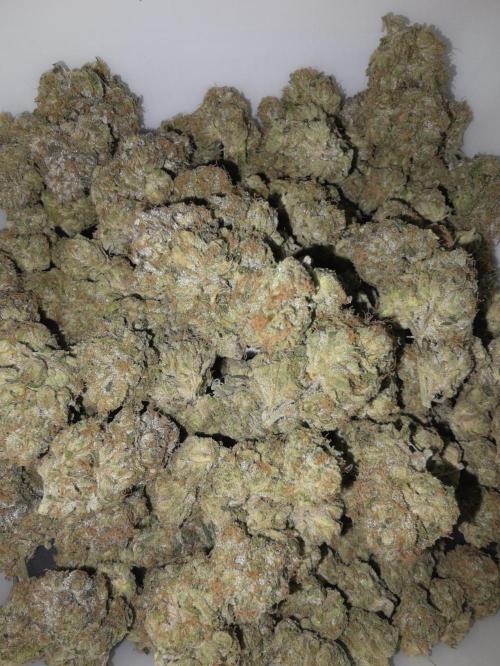 Studio Cherry - Wizard Trees. Week 15