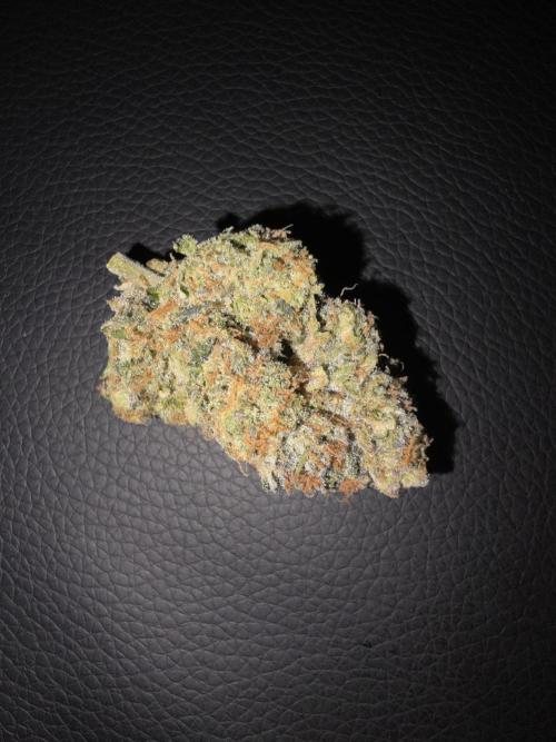 Studio Cherry - Wizard Trees. Week 15