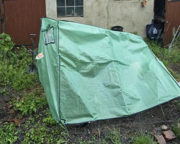 2nd Try Outdoor - Brutalis Auto. Week 5 - Day 30 ....
