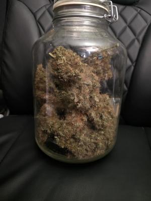 Comment by GrowerBaal photo #1