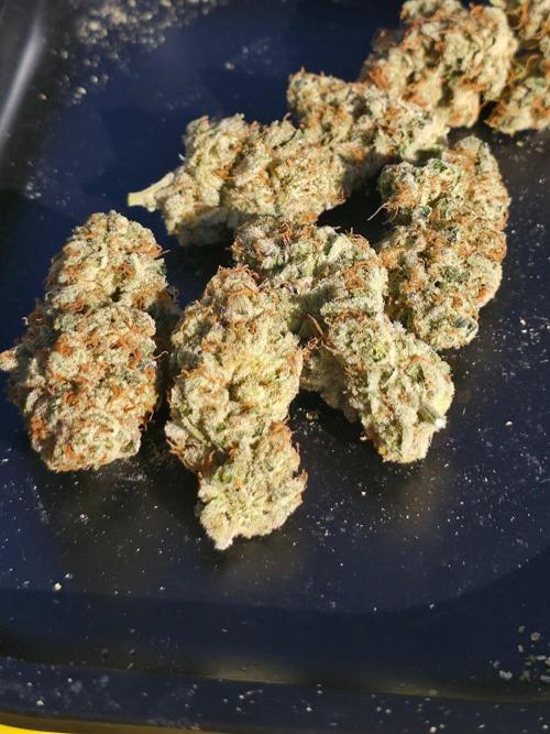 Orange Creampop - HSC. Week 15