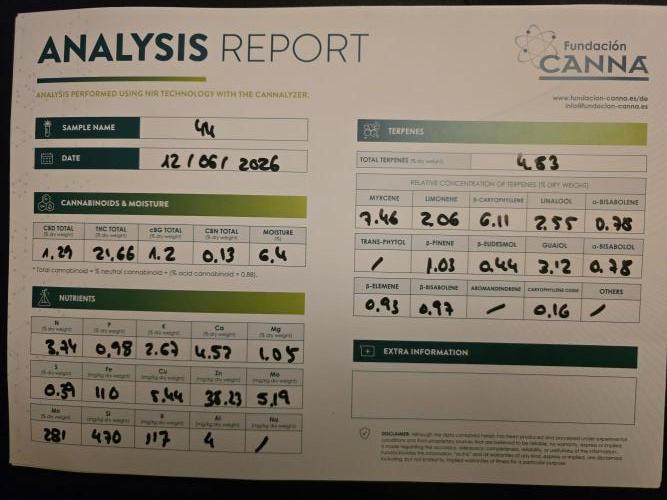 Mary Jane 26 - Berlin 11.06 - 14.06.. Week 1 - Studio Cherry (Wizard trees) tested by Canna