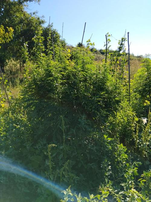 OUTDOOR BEAST. Week 18 - ZILLIONS 💵