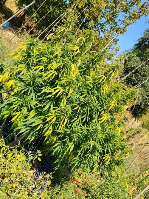 OUTDOOR BEAST. Week 21 - ZILLIONS💵🌸