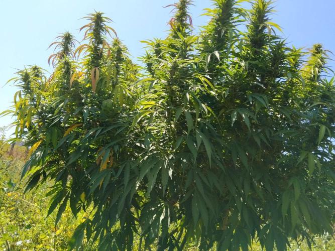 OUTDOOR BEAST. Week 21 - ZILLIONS💵🌸