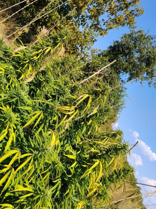 OUTDOOR BEAST. Week 21 - ZILLIONS💵🌸