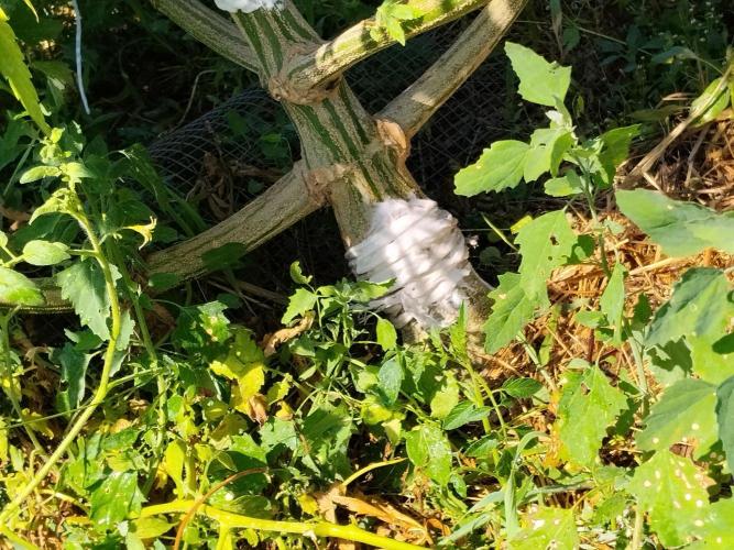 OUTDOOR BEAST. Week 21 - Canapa da lavoro,pattex mille chiodi e spago
